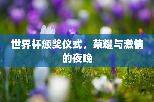 世界杯颁奖仪式，荣耀与激情的夜晚吉安市靖泰电力工程有限公司