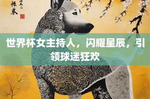 世界杯女主持人，闪耀星辰，引领球迷狂欢吉安市靖泰电力工程有限公司