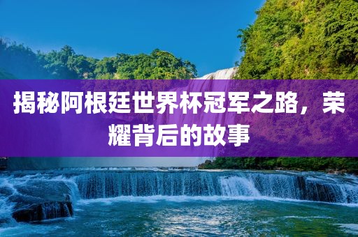 揭秘阿根廷世界杯冠军之路，荣耀背后的故事吉安市靖泰电力工程有限公司