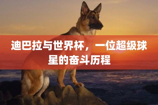 迪巴拉与世界杯，一位超级球星的奋斗历程吉安市靖泰电力工程有限公司