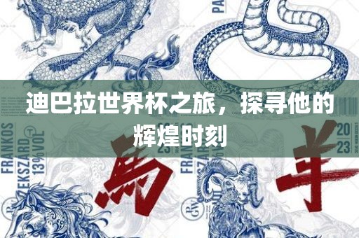 迪巴拉世界杯之旅，探寻他的辉煌时刻吉安市靖泰电力工程有限公司
