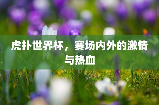 虎扑世界杯，赛场内外的激情与热血吉安市靖泰电力工程有限公司