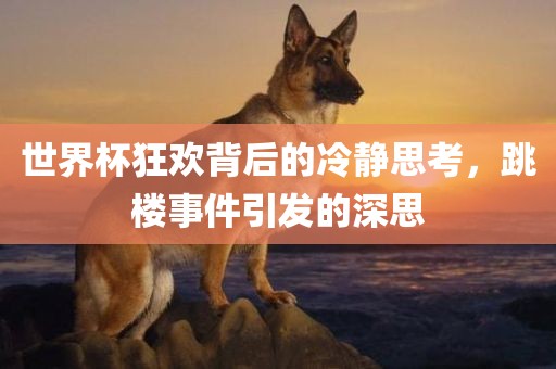 世界杯狂欢背后的冷静思考，跳楼事件引发的深思吉安市靖泰电力工程有限公司