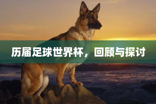 chenyahui 第6页