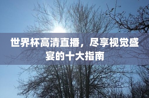 世界杯高清直播，尽享视觉盛宴的十大指南吉安市靖泰电力工程有限公司