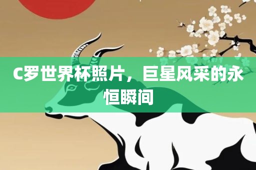 C罗世界杯照片，巨星风采的永恒瞬间