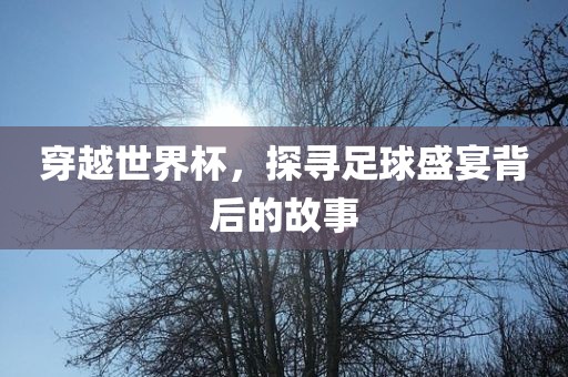 穿越世界杯，探寻足球盛宴背后的故事吉安市靖泰电力工程有限公司