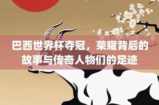 巴西世界杯夺冠，荣耀背后的故事与传奇人物们的足迹吉安市靖泰电力工程有限公司
