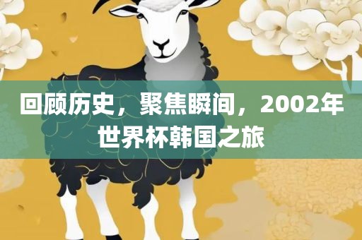 回顾历史，聚焦瞬间，2002年世界杯韩国之旅吉安市靖泰电力工程有限公司