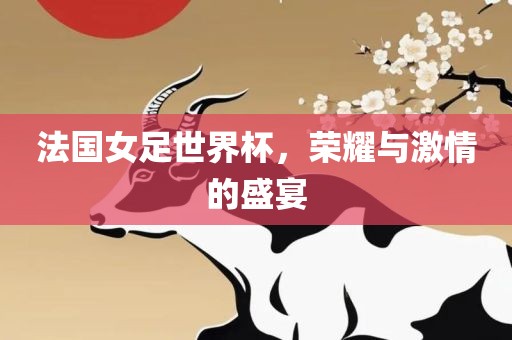 法国女足世界杯，荣耀与激情的盛宴