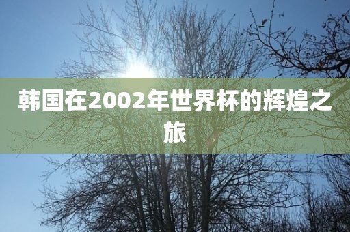 韩国在2002年世界杯的辉煌之旅