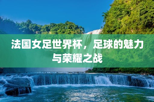 法国女足世界杯，足球的魅力与荣耀之战
