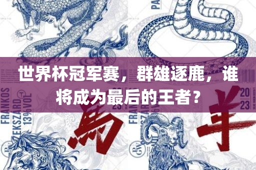 世界杯冠军赛，群雄逐鹿，谁将成为最后的王者？