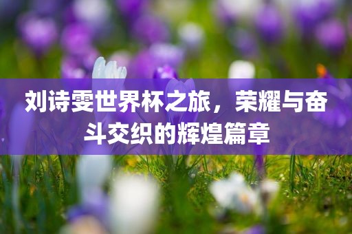 刘诗雯世界杯之旅，荣耀与奋斗交织的辉煌篇章吉安市靖泰电力工程有限公司
