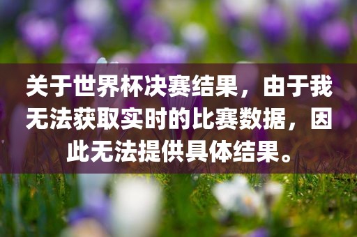 关于世界杯决赛结果，由于我无法获取实时的比赛数据，因此无法提供具体结果。
