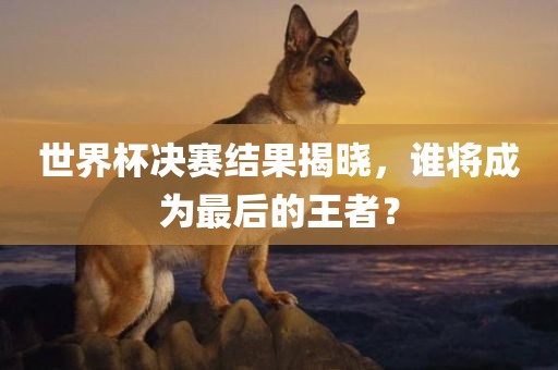世界杯决赛结果揭晓，谁将成为最后的王者？吉安市靖泰电力工程有限公司