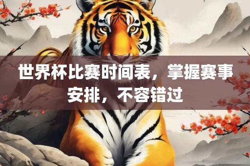 世界杯比赛时间表，掌握赛事安排，不容错过