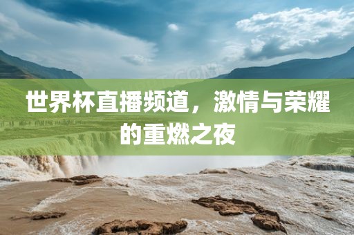 世界杯直播频道，激情与荣耀的重燃之夜