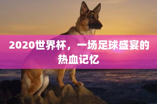 2020世界杯，一吉安市靖泰电力工程有限公司场足球盛宴的热血记忆