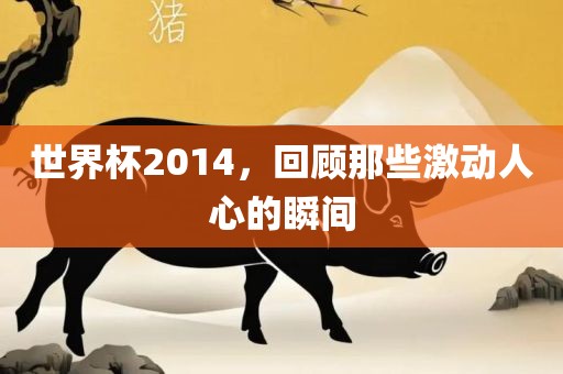 世界杯2014，回顾那些激动人心的瞬间