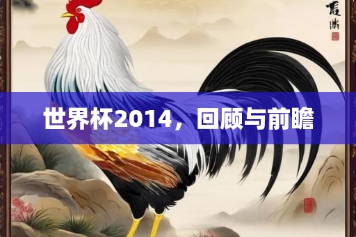 世界杯2014，回顾与前瞻