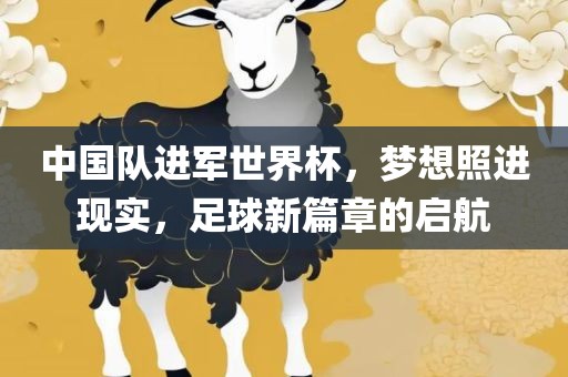 中国队进军世界杯，梦想照进现实，足球新篇章的启航吉安市靖泰电力工程有限公司