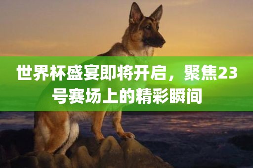 世界杯盛宴即将开启，聚焦23号赛场上的精彩瞬间吉安市靖泰电力工程有限公司