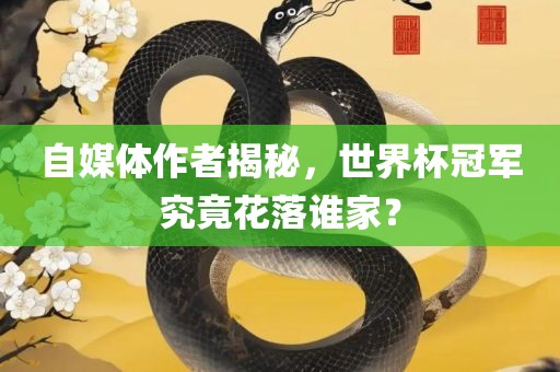 自媒体作者揭秘，世界杯冠军究竟花落谁家？