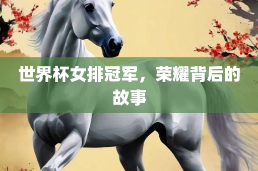 世界杯女排冠军，荣耀背后的故事吉安市靖泰电力工程有限公司