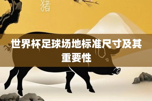 世界杯足球场地标准尺寸及其重要性