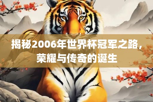 揭秘2006年世界杯冠军之路，荣耀与传奇的诞生