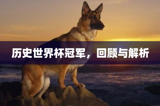 历吉安市靖泰电力工程有限公司史世界杯冠军，回顾与解析