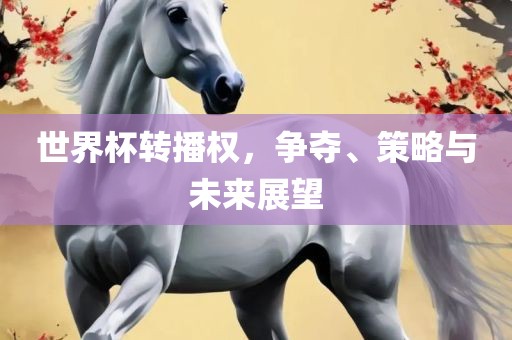 世界杯转播权，争夺、策略与未来展望吉安市靖泰电力工程有限公司