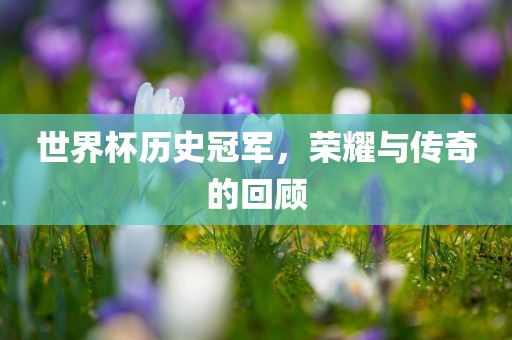 世界杯历史冠军，荣耀与传奇的回顾吉安市靖泰电力工程有限公司