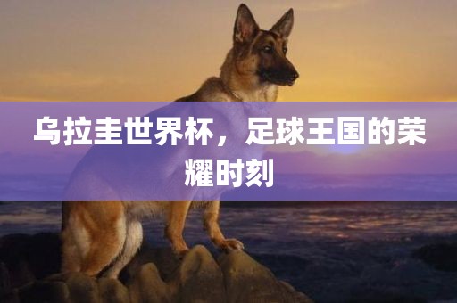 乌拉圭世界杯，足球王国的荣耀时刻