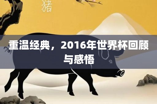 重温经典，2016年世界杯回顾与感悟