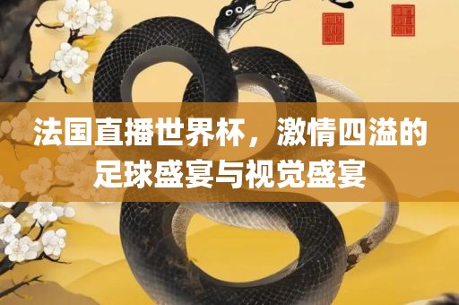 法国直播世界杯，激情四溢的足球盛宴与视吉安市靖泰电力工程有限公司觉盛宴