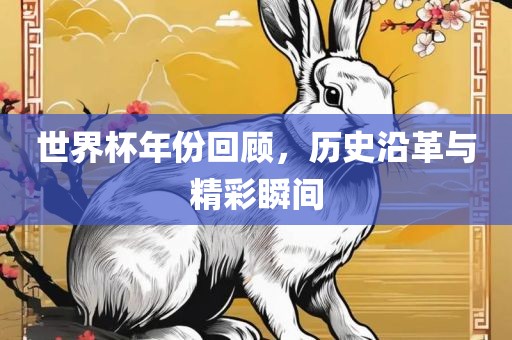 世界杯年份回顾，历史沿革与精彩瞬间吉安市靖泰电力工程有限公司