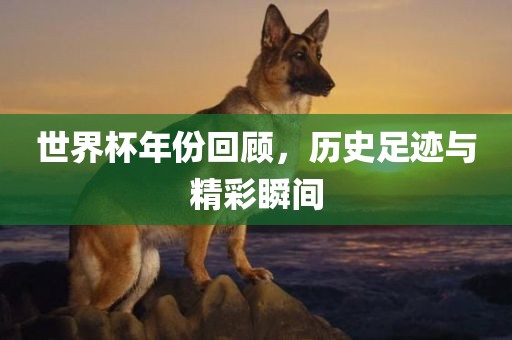 世界杯年份回顾，历史足迹与精彩瞬间吉安市靖泰电力工程有限公司
