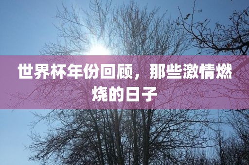 世界杯年份回顾，那些激情燃烧的日子