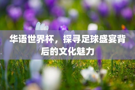 华语世界杯，探寻足球盛宴背后的文吉安市靖泰电力工程有限公司化魅力