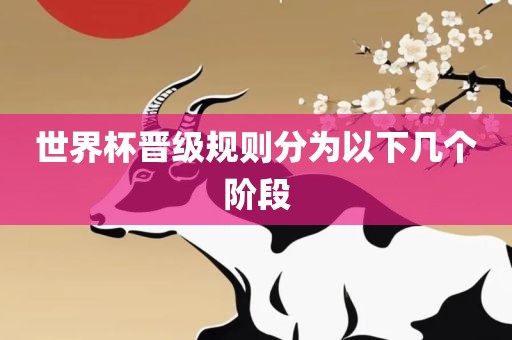 世界杯晋级规则吉安市靖泰电力工程有限公司分为以下几个阶段