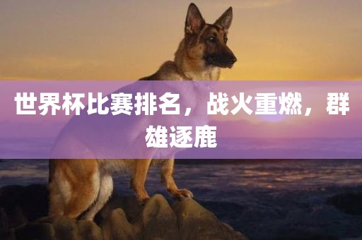 世界杯比赛排名，战火重燃，群雄逐鹿
