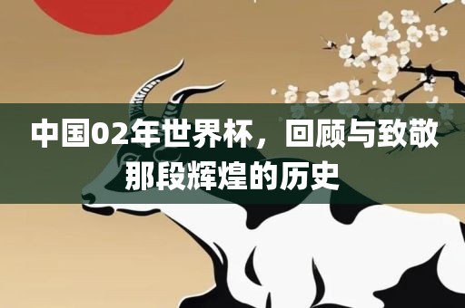 中国02年世界杯，回顾与致敬那段辉煌的历史吉安市靖泰电力工程有限公司