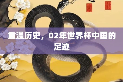 重温历史，02年世界杯中国的足迹吉安市靖泰电力工程有限公司