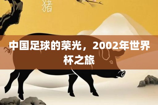 中国足球的荣光，2002年世界杯之旅吉安市靖泰电力工程有限公司