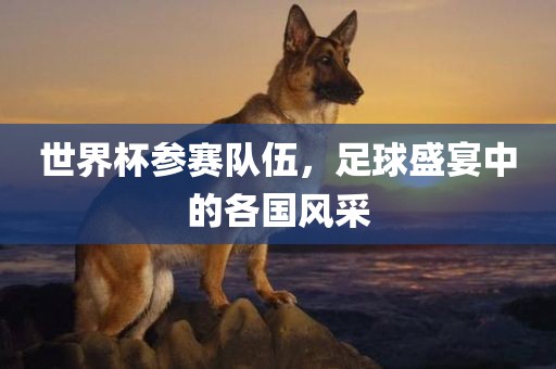 世界杯参赛队伍，足球盛宴中的各国风采