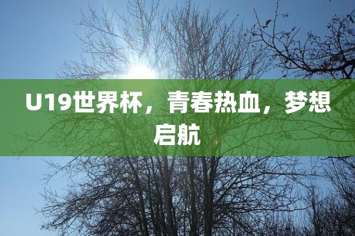 U19世界杯，青春热血，梦想启航吉安市靖泰电力工程有限公司