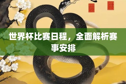世界杯比赛日程，全面解析赛事安排