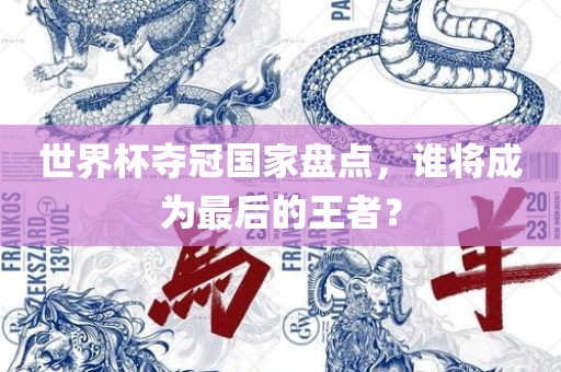 世界杯夺冠国家盘点，谁将成为最后的王者？